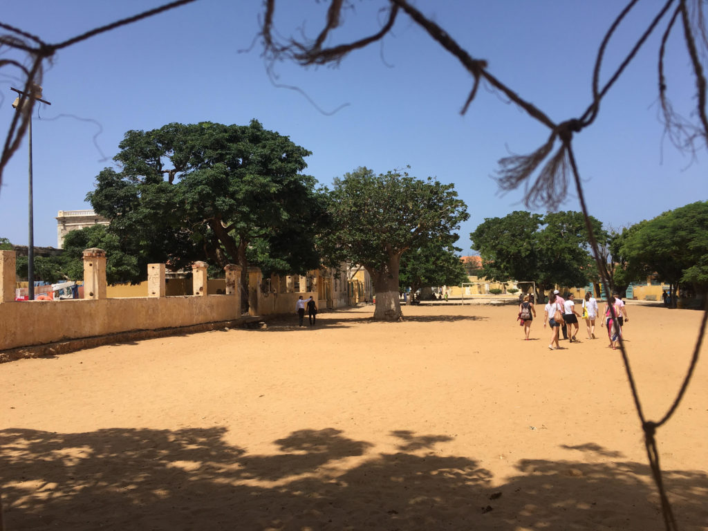 A baobab in the middle of a football field in Gorèe.