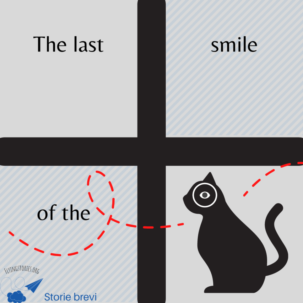 The last smile of the cat_story by Daniele Frau.